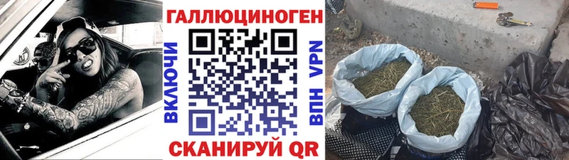 Псилоцибиновые грибы Psilocybe  Касимов 
